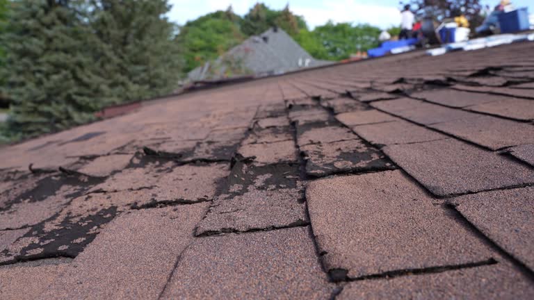 Best 4 Ply Roofing  in Powdersville, SC